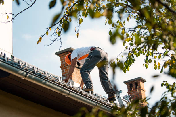 Best Tile Roofing Contractor  in Trinity, AL