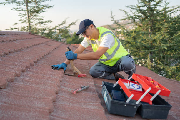 Best Storm Damage Roof Repair  in Trinity, AL
