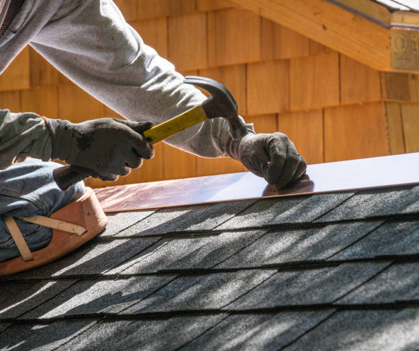 Best Gutter Installation and Roofing  in Trinity, AL